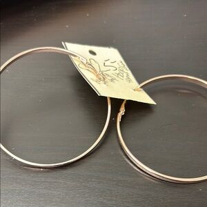 Elegant Gold Hoop Earrings
